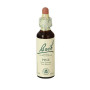 (24) Pine 20Ml. Bach
