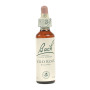 (37) Wild Rose 20Ml. Bach