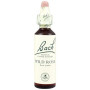(37) Wild Rose 20Ml. Bach