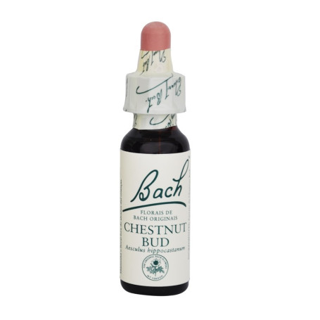 (07) Chestnud Bud 20Ml. Bach