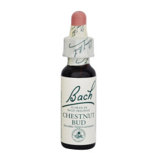Flores de Bach Chestnut Bud (Castaño) 20Ml. Bach