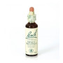 (30) Sweet Chestnut 20Ml. Bach
