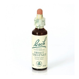 (30) Sweet Chestnut 20Ml. Bach