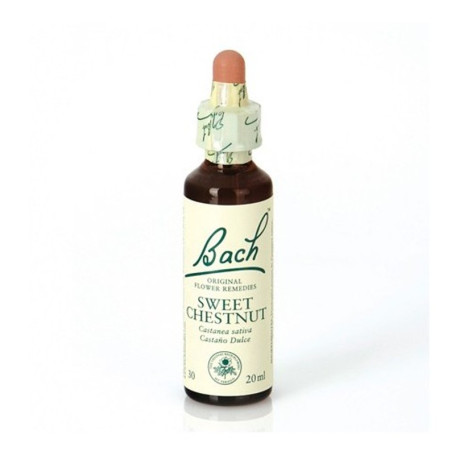 (30) Sweet Chestnut 20Ml. Bach