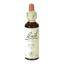 (11) Elm 20Ml. Bach