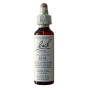 (11) Elm 20Ml. Bach