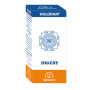 Holoram Digest 60 Capsulas Equisalud