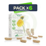 Pack 6x Diente de León Fórmula XXI Soria Natural