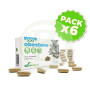 Pack 6x Obestane Fórmula XXI Soria Natural