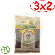 Pack 3x2 Ortosifón Té de Java Bolsa Pinisan