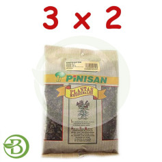 Pack 3x2 Ortosifón Té de Java Bolsa Pinisan