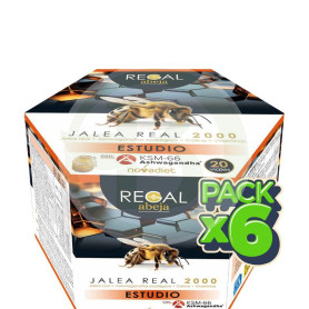 Pack 6x Regal Abeja Estudio 20 Viales Nova Diet