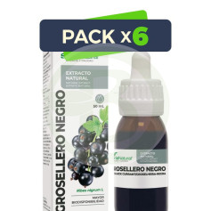 Pack 6x Extracto De Grosellero Negro 50Ml Soria Natural