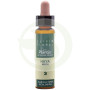 Elixir Floral 3 Beech 10Ml. Plantis