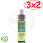 Pack 3x2 Elixir Floral 7 Chestnut Bud 10Ml. Plantis