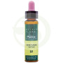 Elixir Floral 12 Gentian 10Ml. Plantis