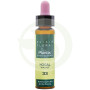 Elixir Floral 33 Nogal 10Ml. Plantis