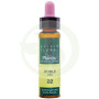 Elixir Floral 22 Roble 10ml Plantis