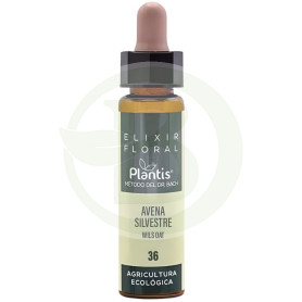Elixir Floral 36 Avena Silvestre 10ml Plantis