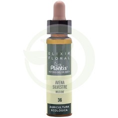 Elixir Floral 36 Avena Silvestre 10ml Plantis
