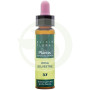 Elixir Floral 37 Rosa Silvestre 10ml Plantis