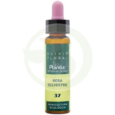 Elixir Floral 37 Rosa Silvestre 10ml Plantis