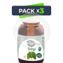 Pack 3x Ginkgo Biloba 250 Cápsulas El Granero