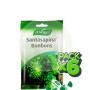 Pack 6x Caramelos Santasapina Bonbons 100Gr. Bioforce