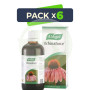 Pack 6x Echinaforce Gotas (Equinacea) Vogel 100Ml.