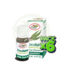 Pack 6x Aceite Esencial de Eucalipto Bio 12Ml. El Granero