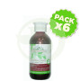 Pack 6x Champú Henna Cabello Caoba 300Ml. Corpore Sano