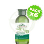 Pack 6x Cahmpú Cabellos Grasos 300Ml. Corpore Sano