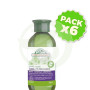 Pack 6x Champú Cabellos Delicados 300Ml. Corpore Sano