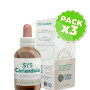 Pack 3x SYS Coriandolo 50Ml. Forza Vitale