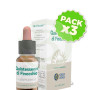 Pack 3x Quintaesencia de Finocchio 10Ml. Forza Vitale