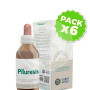 Pack 6x Pilosella Composta 100Ml. Forza Vitale