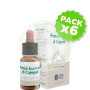 Pack 6x Primera Esencia de Cajeput 10Ml. Forza Vitale