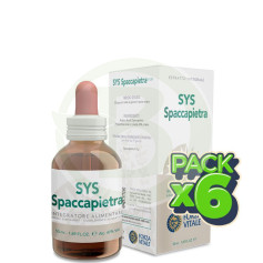 Pack 6x Sys Spaccapiedtra 50Ml. Forza Vitale