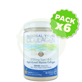 Pack 6x Clinical Collagen Type I & III 298Gr. Kal