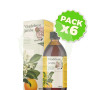 Pack 6x Vitadefense Jarabe 250 Ml Ebers