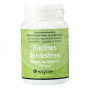 Racines Terrestres Tabebuia Adenophilla 90 Cápsulas 300Mg. Serpens