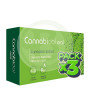 Pack 3x Cannabidol Oral 60 Cápsulas Tegor