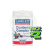 Pack 2x Complejo de Arándano con FOS y Vitamina C Lamberts