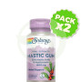 Pack 2x Mastic Gum 500Mg. 45 Cápsulas Vegetales Solaray
