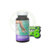 Pack 6x Venacel 60 Capsulas Higifar