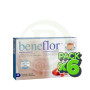 Pack 6x Beneflor 40 Cápsulas (Bacil) Santiveri