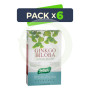 Pack 6x Ginkgo 40 Cápsulas Santiveri