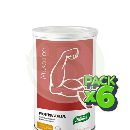 Pack 6x Dynamic Proteína Vegetal Vainilla 455G Santiveri