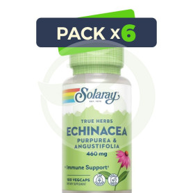 Pack 6x Echinacea (PUR/ANGUS) 460Mg. 100 Cápsulas Solaray