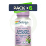 Pack 6x Garcinia Cambogia 500Mg. 60 Cápsulas Solaray